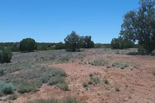 30 N9220, Concho, AZ 85924 - Photo 69