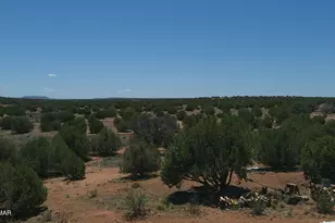 30 N9220, Concho, AZ 85924 - Photo 73