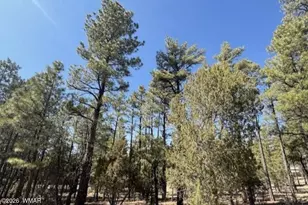 4790 W Hawthorn Rd, Show Low, AZ 85901 - Photo 5