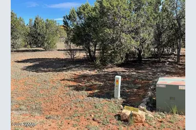 2277 Sunrise Road, Overgaard, AZ 85933 - Photo 5
