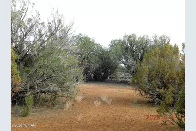 2122 Dawn Place, Show Low, AZ 85901 - Photo 3