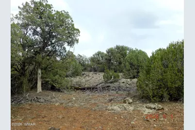 2122 Dawn Place, Show Low, AZ 85901 - Photo 1