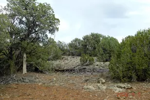 2122 Dawn Pl, Show Low, AZ 85901 - Photo 1
