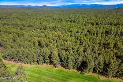 7456 Geronimo Road, Pinetop, AZ 85935 - Photo 33