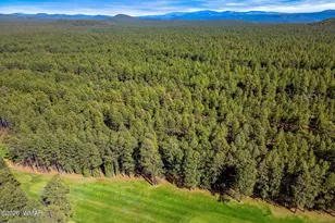 7456 Geronimo Rd, Pinetop, AZ 85935 - Photo 33