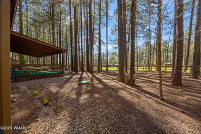7456 Geronimo Road, Pinetop, AZ 85935 - Photo 29