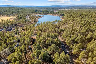 625 E Woodland Lake Rd, Pinetop, AZ 85935 - Photo 59