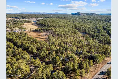 625 E Woodland Lake Road, Pinetop, AZ 85935 - Photo 61
