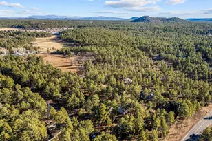625 E Woodland Lake Rd, Pinetop, AZ 85935 - Photo 61