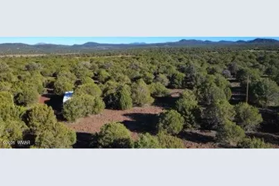 10 County Road N 3071, Vernon, AZ 85940 - Photo 15