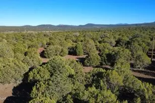 10 County Road N 3071, Vernon, AZ 85940 - Photo 1