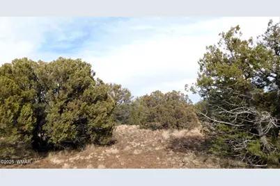 10 County Road N 3071, Vernon, AZ 85940 - Photo 3