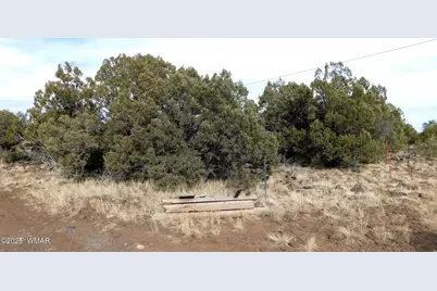 10 County Road N 3071, Vernon, AZ 85940 - Photo 9