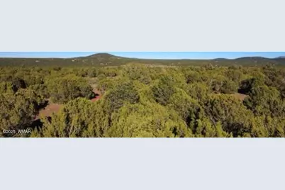 10 County Road N 3071, Vernon, AZ 85940 - Photo 23