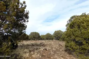 10 County Road N 3071, Vernon, AZ 85940 - Photo 1