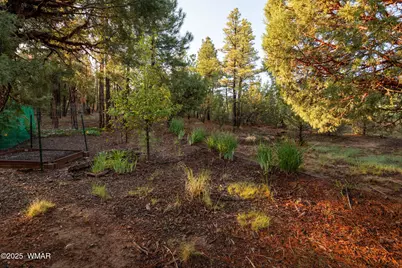 3401 W Blazingstar Road, Show Low, AZ 85901 - Photo 51