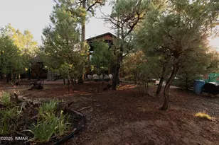 3401 W Blazingstar Rd, Show Low, AZ 85901 - Photo 45