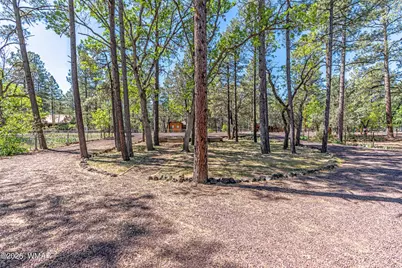 3368 Sunset Lane, Lakeside, AZ 85929 - Photo 3