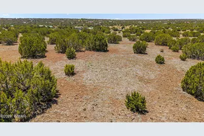 10 Co Road, Vernon, AZ 85940 - Photo 15