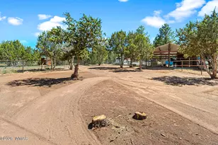 7056 Bustin Dutch Trail, Show Low, AZ 85901 - Photo 77