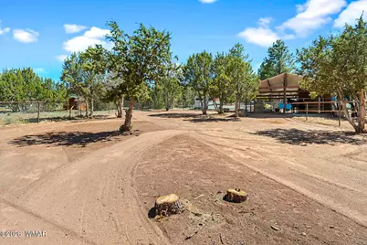 7056 Bustin Dutch Trail, Show Low, AZ 85901 - Photo 71