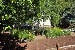 5336 Gray wolf Dr, Lakeside, AZ 85929 - Photo 5
