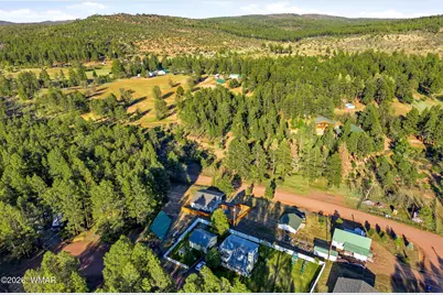 588 Rim Road, Pinedale, AZ 85934 - Photo 23