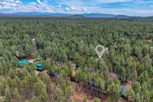 6383 Wildcat Way, Pinetop, AZ 85935 - Photo 11