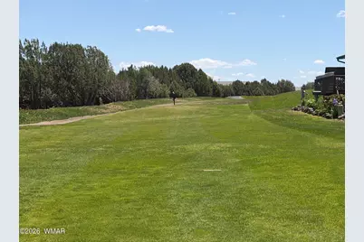 1937 Lynx Drive, Unit Lot 24 #Lot 24, Show Low, AZ 85901 - Photo 5