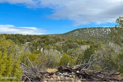 0 W Elkhorn Pass 36 Acres, Seligman, AZ 86337 - Photo 5