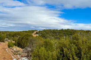 0 W Elkhorn Pass 36 Acres, Seligman, AZ 86337 - Photo 1