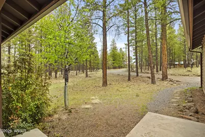 3 Acr 1029, Greer, AZ 85927 - Photo 5