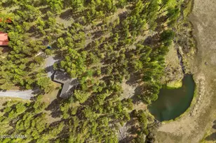 3 Acr 1029, Greer, AZ 85927 - Photo 15