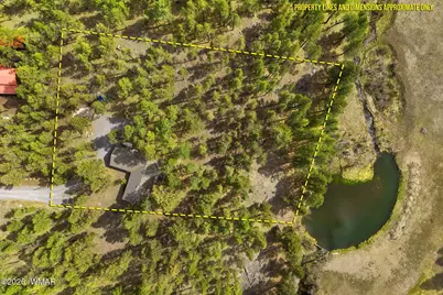 3 Acr 1029, Greer, AZ 85927 - Photo 17
