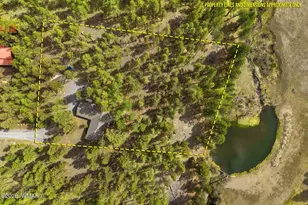3 Acr 1029, Greer, AZ 85927 - Photo 17