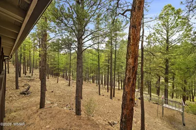 3 Acr 1029, Greer, AZ 85927 - Photo 11