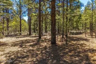 16 N2240, Nutrioso, AZ 85932 - Photo 15