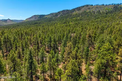 16 N2240, Nutrioso, AZ 85932 - Photo 13