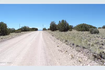 3 County Road, Concho, AZ 85924 - Photo 25
