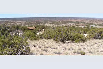 3 County Road, Concho, AZ 85924 - Photo 21