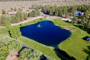 2334 N Buffalo Loop, Overgaard, AZ 85933 - Photo 23