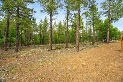 1358 W Big Springs Trail, Lakeside, AZ 85929 - Photo 7