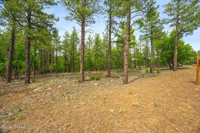 1358 W Big Springs Trail, Lakeside, AZ 85929 - Photo 5