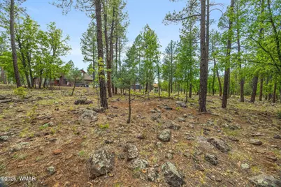 1358 W Big Springs Trail, Lakeside, AZ 85929 - Photo 3