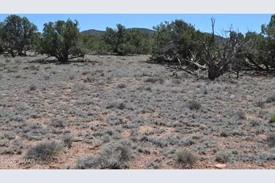Tbd N8604, Concho, AZ 85924 - Photo 13