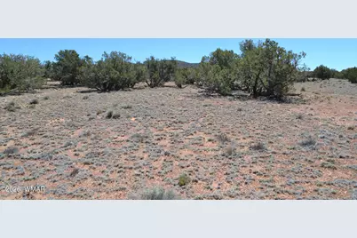 Tbd N8604, Concho, AZ 85924 - Photo 9