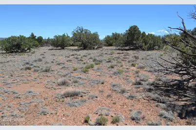 Tbd N8604, Concho, AZ 85924 - Photo 11