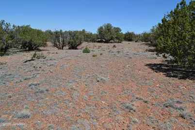 Tbd N8604, Concho, AZ 85924 - Photo 5