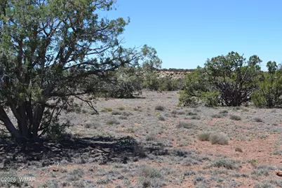 Tbd N8604, Concho, AZ 85924 - Photo 15