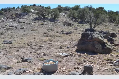 32 N8440, Concho, AZ 85924 - Photo 5